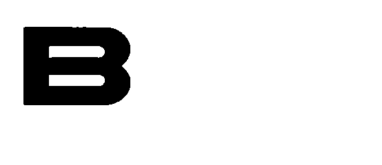 LOGO BOSTOTO
